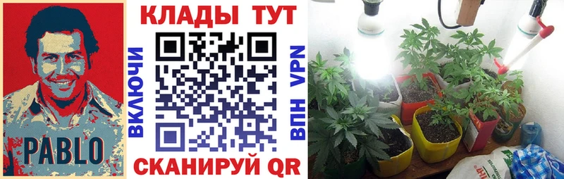 Купить наркотики цена Называевск Гашиш Каннабис МЕФ