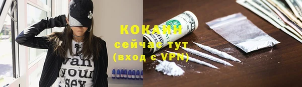дмт Сясьстрой
