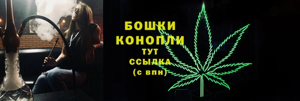 мдпв Бугульма