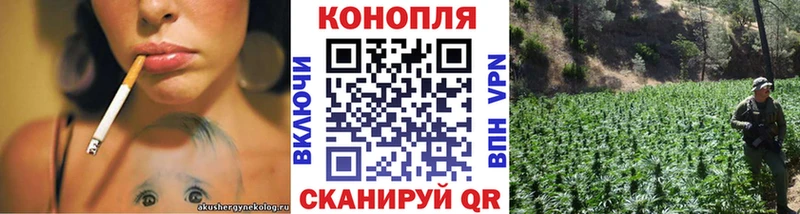 Канабис MAZAR Называевск