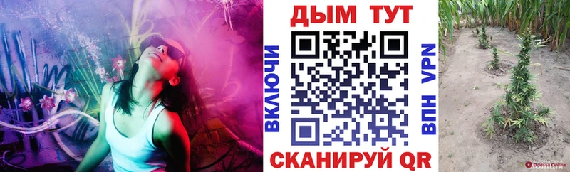 наркошоп  Называевск  Бошки марихуана Ganja 